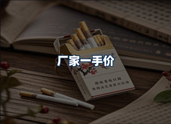 专业团队办公环境